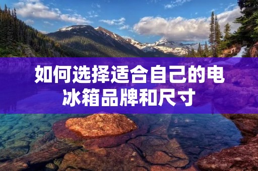 如何选择适合自己的电冰箱品牌和尺寸 如何选择适合自己的电冰箱品牌和尺寸