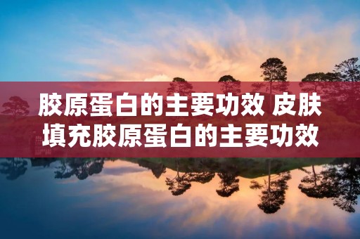 胶原蛋白的主要功效 皮肤填充胶原蛋白的主要功效 胶原蛋白的主要功效 皮肤填充胶原蛋白的主要功效