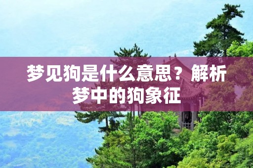 梦见狗是什么意思？解析梦中的狗象征