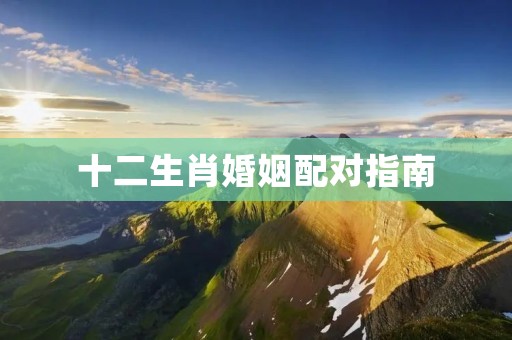 十二生肖婚姻配对指南