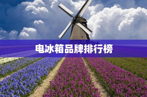 电冰箱品牌排行榜:哪些品牌最受消费者欢迎? 电冰箱品牌排行榜:哪些品牌最受消费者欢迎?