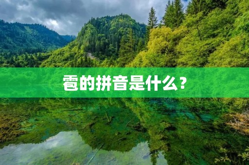 雹的拼音是什么？