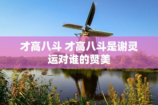 才高八斗 才高八斗是谢灵运对谁的赞美