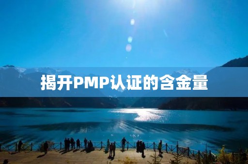 揭开PMP认证的含金量