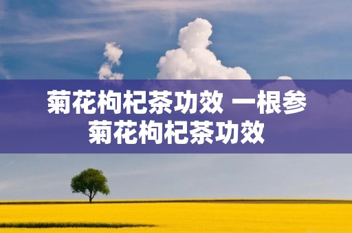 菊花枸杞茶功效 一根参菊花枸杞茶功效 菊花枸杞茶功效 一根参菊花枸杞茶功效