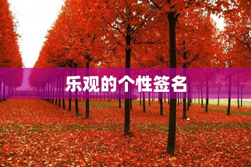 乐观的个性签名