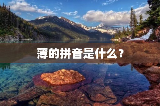 薄的拼音是什么? 薄的拼音是什么?