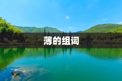 薄的组词