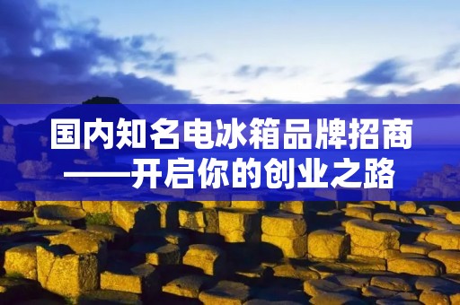 国内知名电冰箱品牌招商——开启你的创业之路 国内知名电冰箱品牌招商——开启你的创业之路