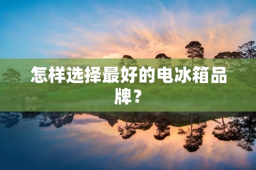 怎样选择最好的电冰箱品牌? 怎样选择最好的电冰箱品牌?