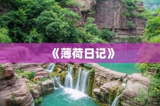 《薄荷日记》：记录生活的美好与烦恼