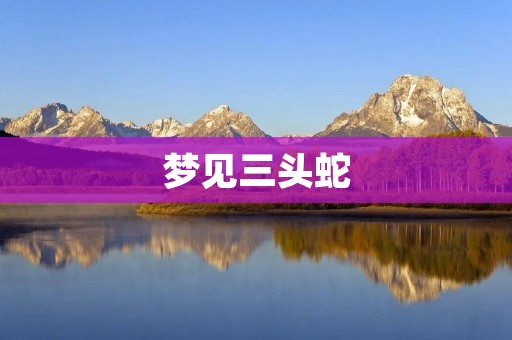 梦见三头蛇