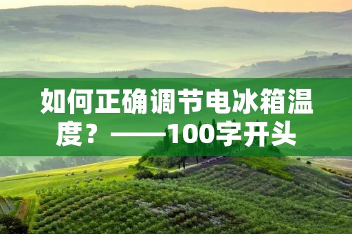 如何正确调节电冰箱温度？——100字开头