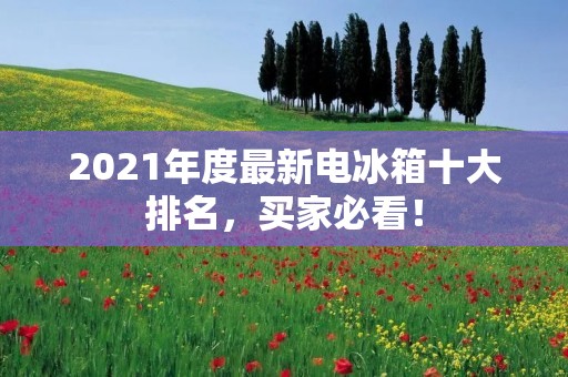 2021年度最新电冰箱十大排名,买家必看! 2021年度最新电冰箱十大排名,买家必看!