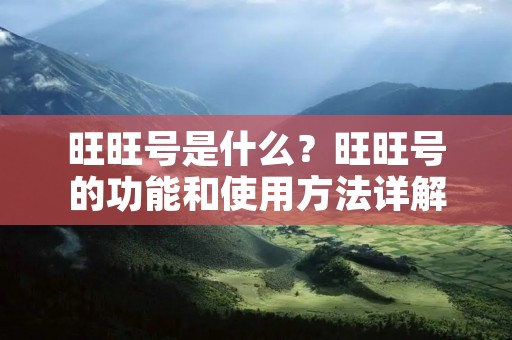 旺旺号是什么?旺旺号的功能和使用方法详解 旺旺号是什么?旺旺号的功能和使用方法详解