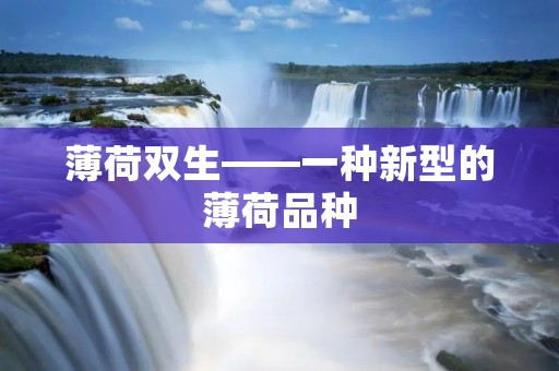 薄荷双生——一种新型的薄荷品种 薄荷双生——一种新型的薄荷品种