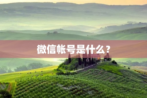 微信帐号是什么？
