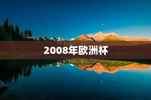 2008年欧洲杯：葡萄牙成为夺冠热门