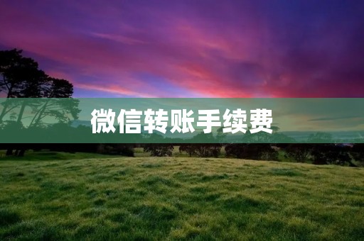 微信转账手续费：如何避免不必要的费用？