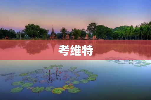 考维特:打破传统的教育方式 考维特:打破传统的教育方式