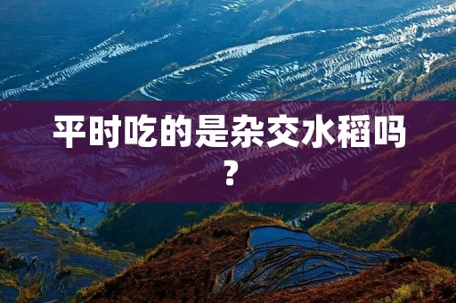 平时吃的是杂交水稻吗?