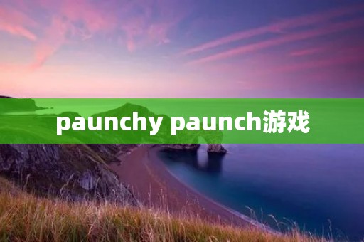 paunchy paunch游戏