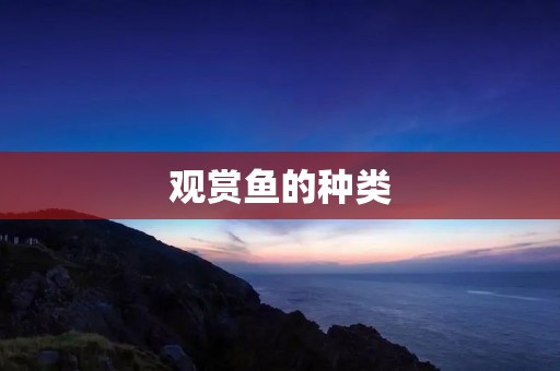 观赏鱼的种类