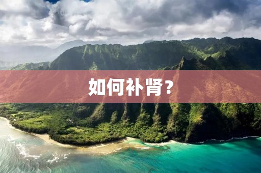如何补肾? 如何补肾?