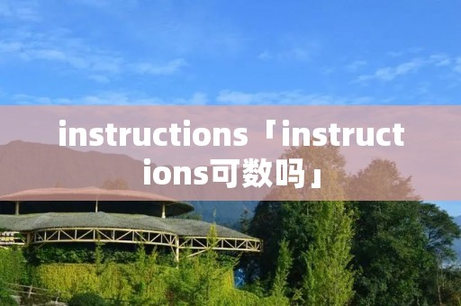 instructions「instructions可数吗」
