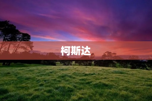 柯斯达：日本豪华旅行巴士的领先品牌