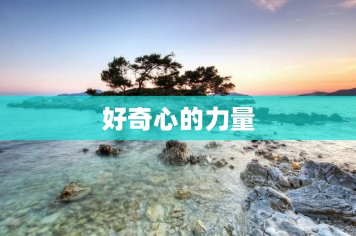好奇心的力量:名人名言汇总