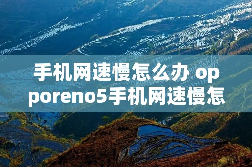 手机网速慢怎么办 opporeno5手机网速慢怎么办