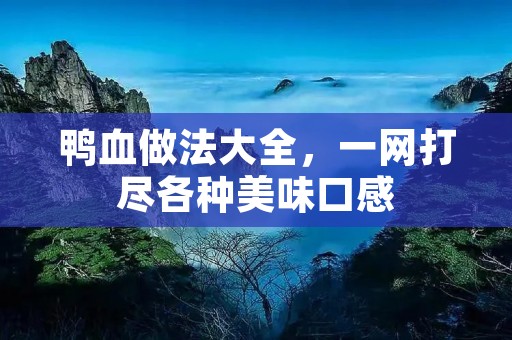 鸭血做法大全,一网打尽各种美味口感 鸭血做法大全,一网打尽各种美味口感