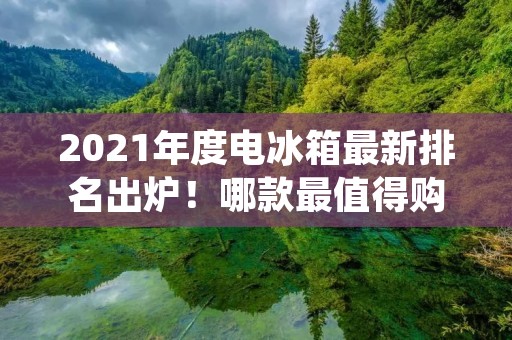 2021年度电冰箱最新排名出炉!哪款最值得购买? 2021年度电冰箱最新排名出炉!哪款最值得购买?