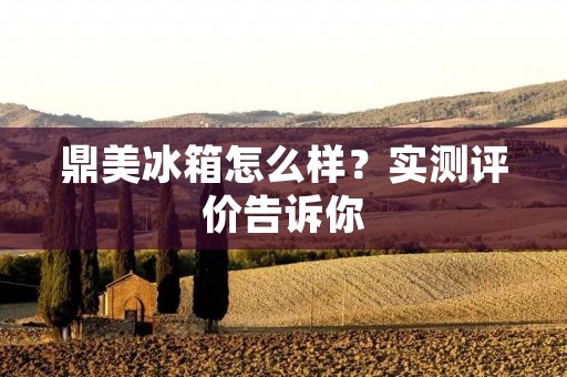 鼎美冰箱怎么样?实测评价告诉你 鼎美冰箱怎么样?实测评价告诉你