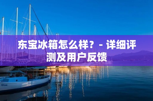 东宝冰箱怎么样？- 详细评测及用户反馈