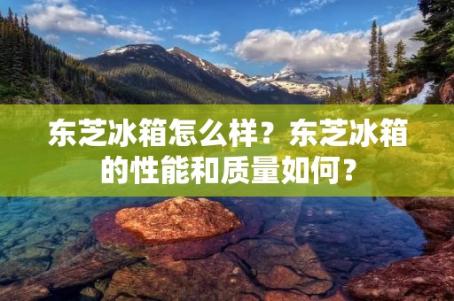 东芝冰箱怎么样?东芝冰箱的性能和质量如何? 东芝冰箱怎么样?东芝冰箱的性能和质量如何?