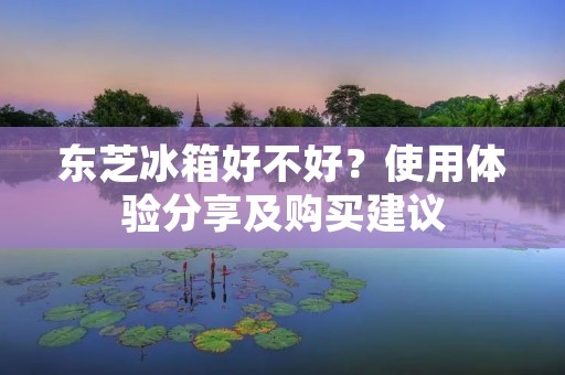 东芝冰箱好不好?使用体验分享及购买建议 东芝冰箱好不好?使用体验分享及购买建议