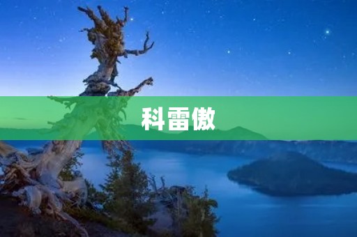 科雷傲：打造城市新时代出行方式