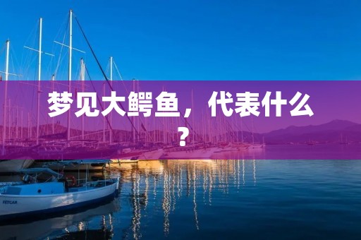 梦见大鳄鱼,代表什么?