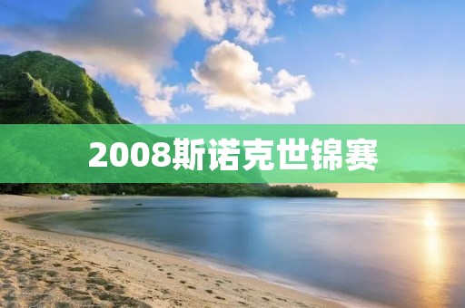 2008斯诺克世锦赛：霍金斯夺冠，中国选手表现抢眼
