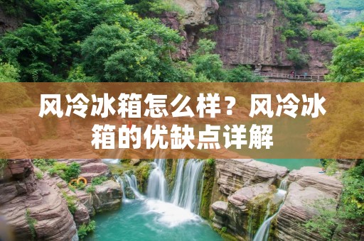 风冷冰箱怎么样?风冷冰箱的优缺点详解 风冷冰箱怎么样?风冷冰箱的优缺点详解