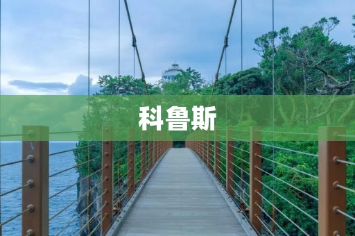 科鲁斯:一款高端豪华轿车 科鲁斯:一款高端豪华轿车