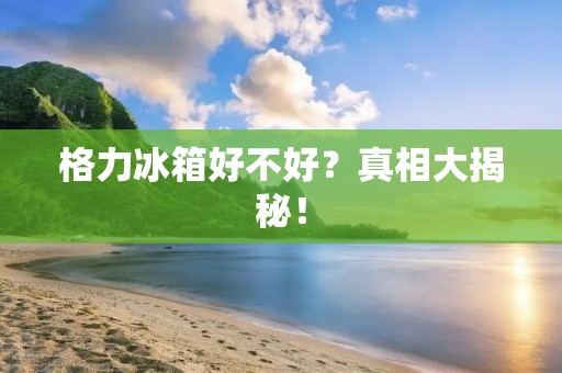 格力冰箱好不好?真相大揭秘! 格力冰箱好不好?真相大揭秘!