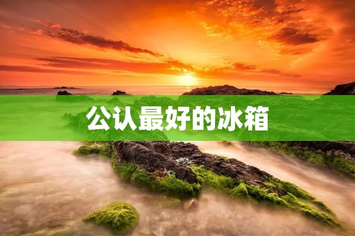 公认最好的冰箱:拥有超强制冷技术的“冰霸王” 公认最好的冰箱:拥有超强制冷技术的“冰霸王”