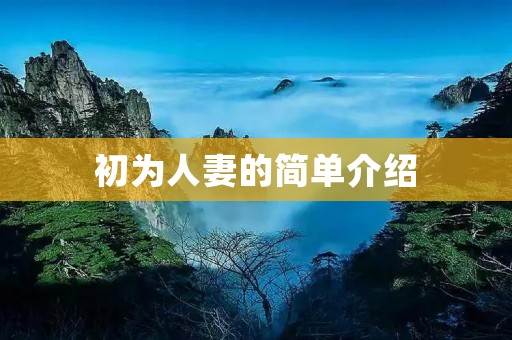 初为人妻的简单介绍