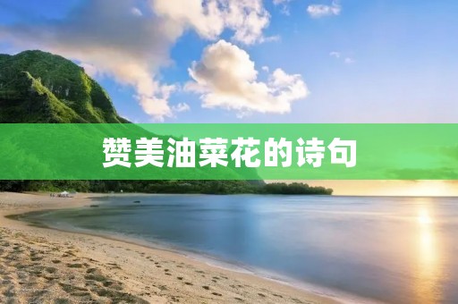赞美油菜花的诗句