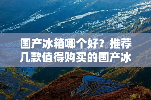 国产冰箱哪个好?推荐几款值得购买的国产冰箱 国产冰箱哪个好?推荐几款值得购买的国产冰箱