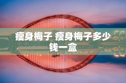 瘦身梅子 瘦身梅子多少钱一盒