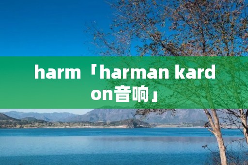 harm「harman kardon音响」